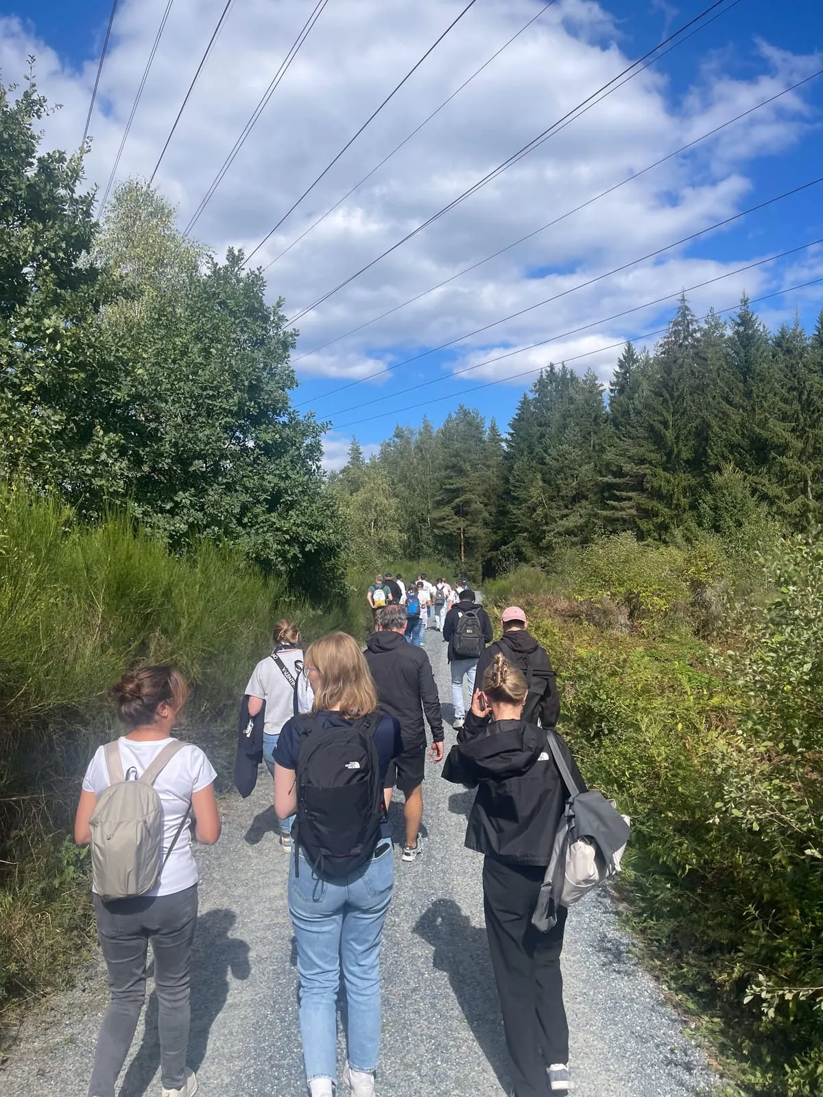 Das C3-Team unterwegs auf einem Waldweg im Waldnaabtal
