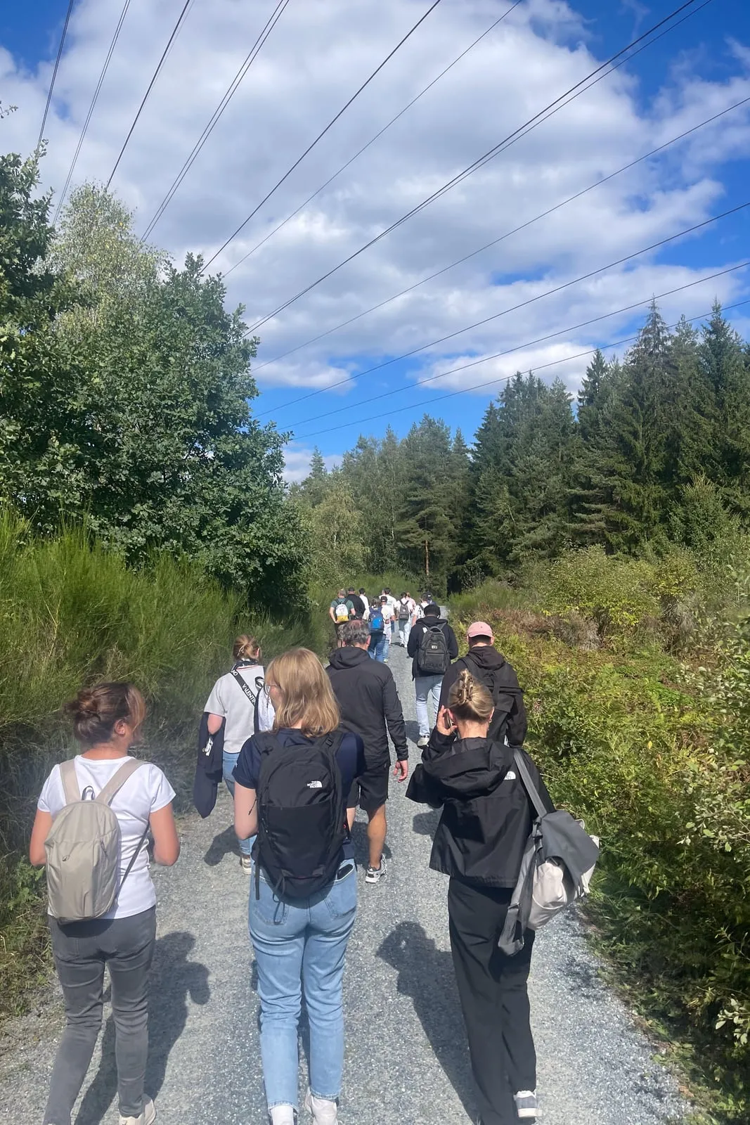 Das C3-Team unterwegs auf einem Waldweg im Waldnaabtal